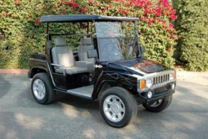 affordable golf cart rental, golf cart rent tybee island golf cart rental